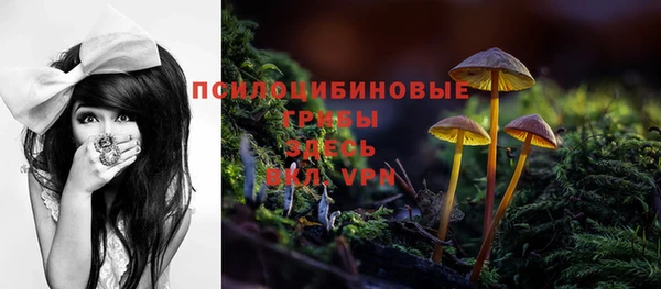 Альфа ПВП Армянск
